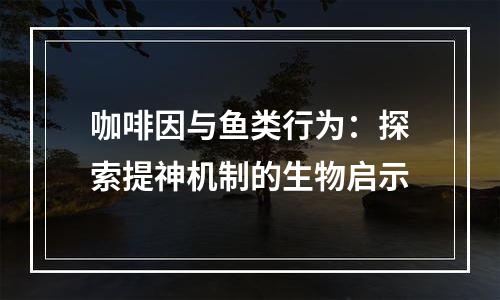 咖啡因与鱼类行为：探索提神机制的生物启示