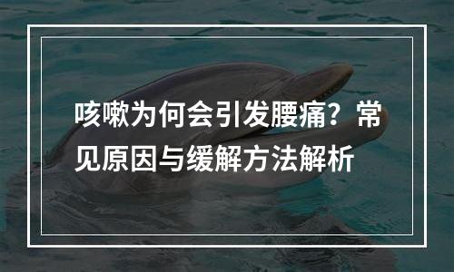 咳嗽为何会引发腰痛？常见原因与缓解方法解析