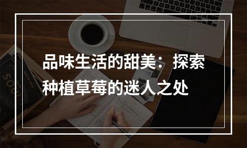 品味生活的甜美：探索种植草莓的迷人之处