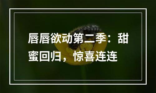 唇唇欲动第二季：甜蜜回归，惊喜连连