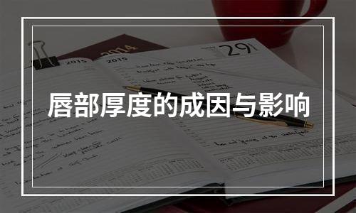 唇部厚度的成因与影响