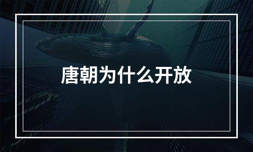 唐朝为什么开放