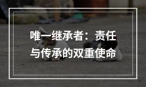 唯一继承者：责任与传承的双重使命