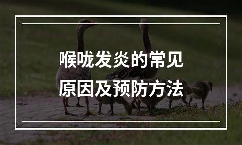 喉咙发炎的常见原因及预防方法
