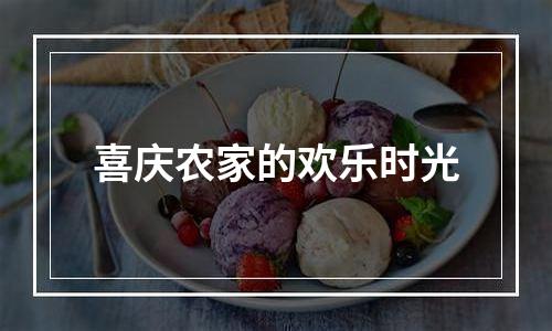 喜庆农家的欢乐时光