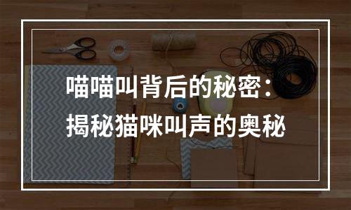 喵喵叫背后的秘密：揭秘猫咪叫声的奥秘