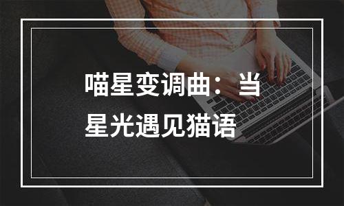 喵星变调曲：当星光遇见猫语