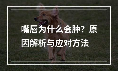 嘴唇为什么会肿？原因解析与应对方法