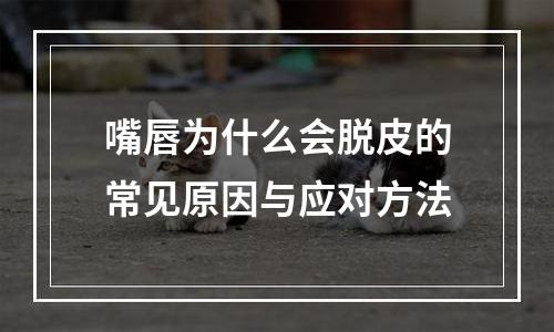 嘴唇为什么会脱皮的常见原因与应对方法