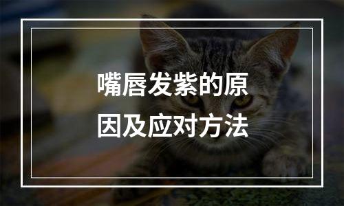 嘴唇发紫的原因及应对方法