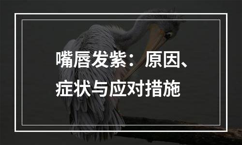 嘴唇发紫：原因、症状与应对措施