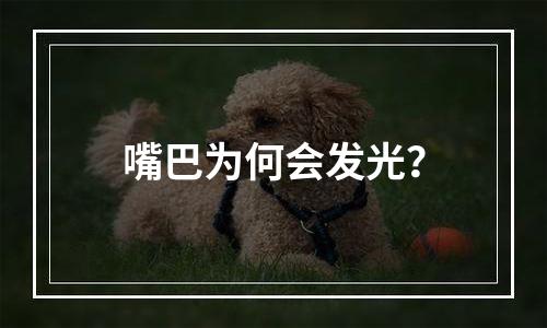 嘴巴为何会发光？