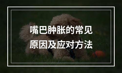 嘴巴肿胀的常见原因及应对方法