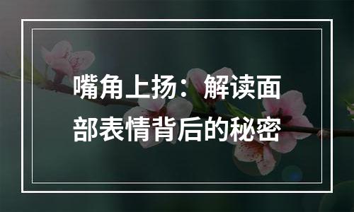 嘴角上扬：解读面部表情背后的秘密