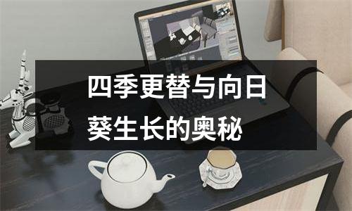 四季更替与向日葵生长的奥秘