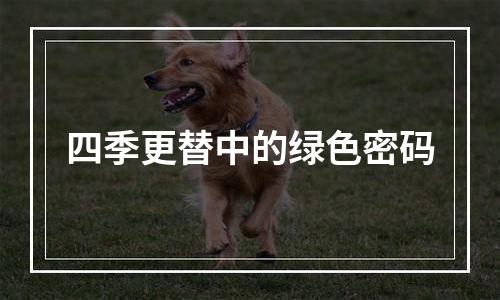 四季更替中的绿色密码