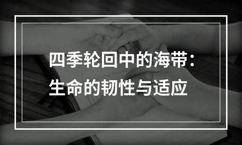 四季轮回中的海带：生命的韧性与适应