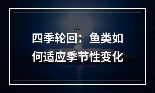 四季轮回：鱼类如何适应季节性变化