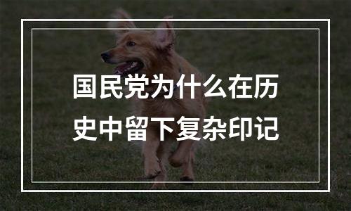 国民党为什么在历史中留下复杂印记