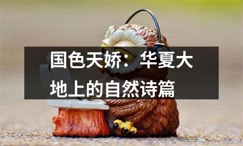 国色天娇：华夏大地上的自然诗篇