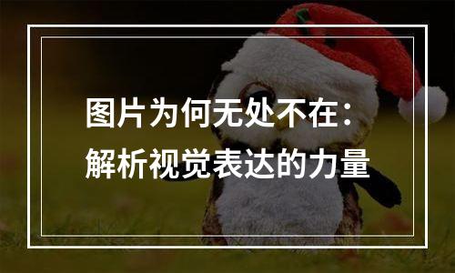 图片为何无处不在：解析视觉表达的力量