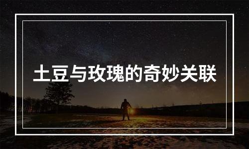 土豆与玫瑰的奇妙关联