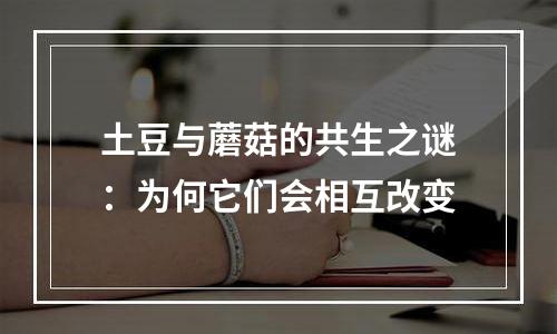 土豆与蘑菇的共生之谜：为何它们会相互改变