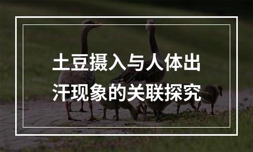 土豆摄入与人体出汗现象的关联探究