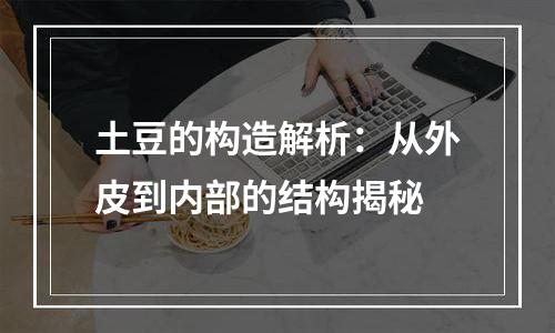 土豆的构造解析：从外皮到内部的结构揭秘