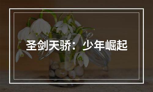 圣剑天骄：少年崛起