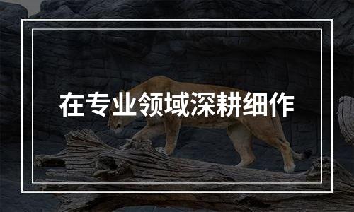 在专业领域深耕细作