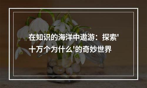 在知识的海洋中遨游：探索'十万个为什么'的奇妙世界