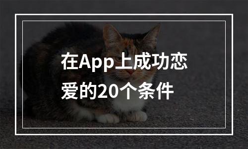 在App上成功恋爱的20个条件