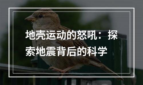 地壳运动的怒吼：探索地震背后的科学