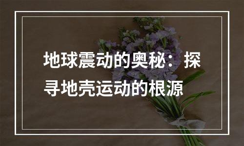 地球震动的奥秘：探寻地壳运动的根源