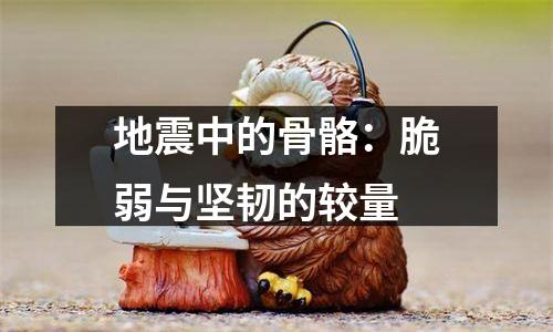 地震中的骨骼：脆弱与坚韧的较量