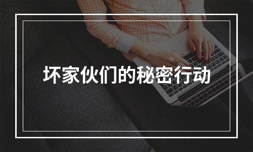 坏家伙们的秘密行动