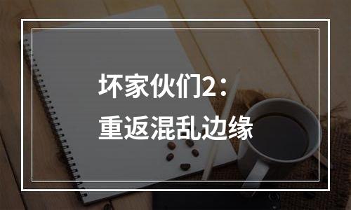 坏家伙们2：重返混乱边缘