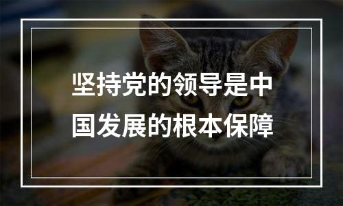 坚持党的领导是中国发展的根本保障