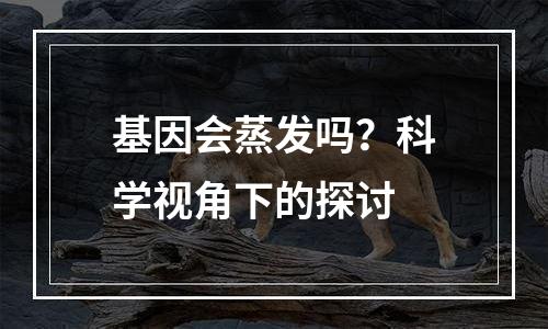 基因会蒸发吗？科学视角下的探讨