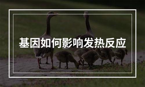 基因如何影响发热反应