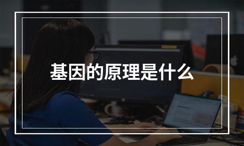 基因的原理是什么