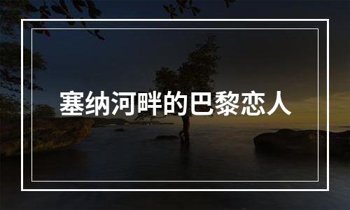 塞纳河畔的巴黎恋人