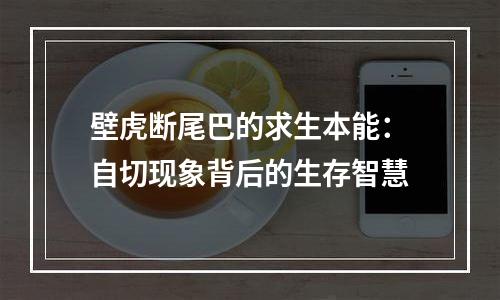 壁虎断尾巴的求生本能：自切现象背后的生存智慧