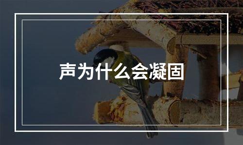 声为什么会凝固