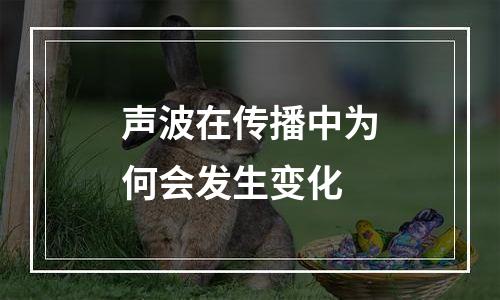 声波在传播中为何会发生变化
