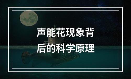 声能花现象背后的科学原理