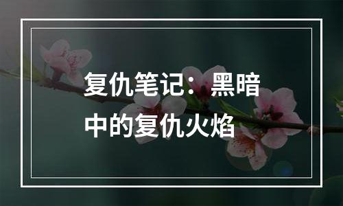 复仇笔记：黑暗中的复仇火焰