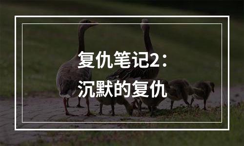 复仇笔记2：沉默的复仇