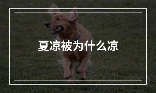 夏凉被为什么凉